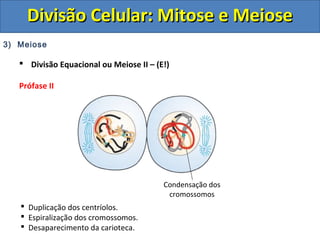 3) Meiose
 Divisão Equacional ou Meiose II – (E!)
Prófase II
 Duplicação dos centríolos.
 Espiralização dos cromossomos.
 Desaparecimento da carioteca.
Condensação dos
cromossomos
Divisão Celular: Mitose e MeioseDivisão Celular: Mitose e Meiose
 