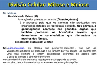 3) Meiose
Finalidades da Meiose (R!)
Formação dos gametas em animais (Gametogênese)
é o processo pelo qual os gametas são produzidos nos
organismos dotados de reprodução sexuada. Nos animais, a
gametogênese acontece nas gônadas, órgãos que
também produzem os hormônios sexuais, que
determinam as características que diferenciam os
machos das fêmeas.
Formação dos esporos nos vegetais
Nas espermatófitas, as plantas que produzem sementes - que são as
verdadeiras unidades de dispersão e se formam por via sexual - os esporos têm
uma vida efêmera e tomam designações diferentes de acordo com
o sexo do gâmeta a que irão dar origem:
o esporo feminino denomina-se megásporo e corresponde ao óvulo;
o masculino denomina-se micrósporo e corresponde ao grão de pólen.
Divisão Celular: Mitose e MeioseDivisão Celular: Mitose e Meiose
 