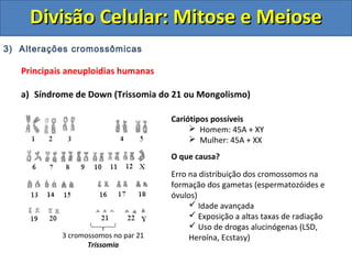 3) Alterações cromossômicas
Principais aneuploidias humanas
a) Síndrome de Down (Trissomia do 21 ou Mongolismo)
3 cromossomos no par 21
Trissomia
Cariótipos possíveis
 Homem: 45A + XY
 Mulher: 45A + XX
O que causa?
Erro na distribuição dos cromossomos na
formação dos gametas (espermatozóides e
óvulos)
 Idade avançada
 Exposição a altas taxas de radiação
 Uso de drogas alucinógenas (LSD,
Heroína, Ecstasy)
Divisão Celular: Mitose e MeioseDivisão Celular: Mitose e Meiose
 