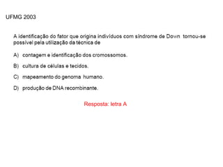 INTERFASE QUE PRECEDE A DIVISÃO
Resposta: letra A
UFMG 2003
 