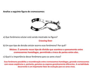 INTERFASE QUE PRECEDE A DIVISÃO
Analise a seguinte figura de cromossomos:
a) Que fenômeno celular está sendo mostrado na figura?
b) Em que tipo de divisão celular ocorre esse fenômeno? Por quê?
c) Qual é a importância desse fenômeno para os seres vivos?
Crossing Over
Meiose. É somente nesse tipo de divisão que acontece o pareamento entre
cromossomos homólogos, permitindo a troca de partes entre eles.
Esse fenômeno possibilita a recombinação entre cromossomos homólogos, gerando cromossomos
com novas seqüências e, portanto, gametas ou esporos geneticamente diferentes. A variabilidade
decorrente é um importante fator de evolução para os seres vivos.
 
