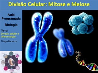 Aula
Programada
Biologia
Tema:
Divisão celular e
diferenciação.
Thiago Barreiros
Divisão Celular: Mitose e Meiose
 