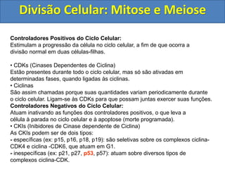 Controladores Positivos do Ciclo Celular:
Estimulam a progressão da célula no ciclo celular, a fim de que ocorra a
divisão normal em duas células-filhas.
• CDKs (Cinases Dependentes de Ciclina)
Estão presentes durante todo o ciclo celular, mas só são ativadas em
determinadas fases, quando ligadas às ciclinas.
• Ciclinas
São assim chamadas porque suas quantidades variam periodicamente durante
o ciclo celular. Ligam-se às CDKs para que possam juntas exercer suas funções.
Controladores Negativos do Ciclo Celular:
Atuam inativando as funções dos controladores positivos, o que leva a
célula à parada no ciclo celular e à apoptose (morte programada).
• CKIs (Inibidores de Cinase dependente de Ciclina)
As CKIs podem ser de dois tipos:
- específicas (ex: p15, p16, p18, p19): são seletivas sobre os complexos ciclina-
CDK4 e ciclina -CDK6, que atuam em G1.
- inespecíficas (ex: p21, p27, p53, p57): atuam sobre diversos tipos de
complexos ciclina-CDK.
Divisão Celular: Mitose e Meiose
 