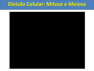 Divisão Celular: Mitose e Meiose
 