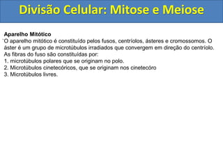 Divisão Celular: Mitose e Meiose
.
Aparelho Mitótico
O aparelho mitótico é constituído pelos fusos, centríolos, ásteres e cromossomos. O
áster é um grupo de microtúbulos irradiados que convergem em direção do centríolo.
As fibras do fuso são constituídas por:
1. microtúbulos polares que se originam no polo.
2. Microtúbulos cinetecóricos, que se originam nos cinetecóro
3. Microtúbulos livres.
 