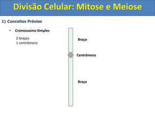 1) Conceitos Prévios
• Cromossomo Simples
Centrômero
Braço
Braço
2 braços
1 centrômero
Divisão Celular: Mitose e Meiose
 