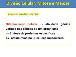 Termos moleculares:
Diferenciação celular  atividade gênica
variada nas células de um organismo
 Síntese de proteínas específicas
Ex. actina-miosina  células musculares
Divisão Celular: Mitose e Meiose
 