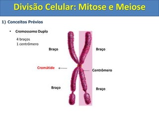 1) Conceitos Prévios
• Cromossomo Duplo
Centrômero
Braço
Braço
Cromátide
Braço
Braço
4 braços
1 centrômero
Divisão Celular: Mitose e Meiose
 