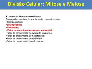 Divisão Celular: Mitose e Meiose
Exemplos de fatores de crescimento
Fatores de crescimento amplamente conhecidos são:
•Trombopoetina;
•Eritropoetina;
•Miostatina;
• Fator de crescimento vascular endotelial.
•Fator de crescimento derivado de plaquetas;
•Fator de crescimento de hepatócitos;
•Fator de crescimento de epiderme;
•Fator de crescimento transformador b.
 