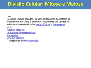 Divisão Celular: Mitose e Meiose
Usos
Nas duas últimas décadas, os usos terapêuticos dos fatores de
crescimento têm vindo a aumentar. Atualmente são usados no
tratamento de enfermidades hematológicas e oncológicas
como :
•Granulocitopenia
•Síndromes mielodisplásicas
•Leucemias
•Anemia aplásica
•Transplantes de medula óssea
 