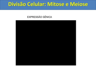 Divisão Celular: Mitose e Meiose
EXPRESSÃO GÊNICA
 