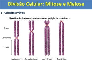 1) Conceitos Prévios
• Classificação dos cromossomos quanto à posição do centrômero
Braço
Braço
Centrômero
Metacêntrico Submetacêntrico Acrocêntrico Telocêntrico
Divisão Celular: Mitose e Meiose
 