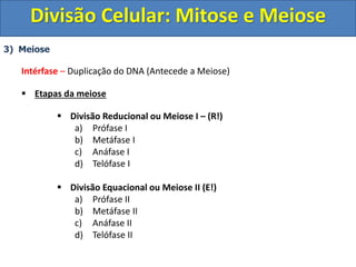 3) Meiose
Intérfase – Duplicação do DNA (Antecede a Meiose)
 Etapas da meiose
 Divisão Reducional ou Meiose I – (R!)
a) Prófase I
b) Metáfase I
c) Anáfase I
d) Telófase I
 Divisão Equacional ou Meiose II (E!)
a) Prófase II
b) Metáfase II
c) Anáfase II
d) Telófase II
Divisão Celular: Mitose e Meiose
 