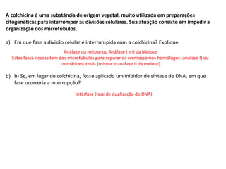INTERFASE QUE PRECEDE A DIVISÃO
A colchicina é uma substância de origem vegetal, muito utilizada em preparações
citogenéticas para interromper as divisões celulares. Sua atuação consiste em impedir a
organização dos microtúbulos.
a) Em que fase a divisão celular é interrompida com a colchicina? Explique.
b) b) Se, em lugar de colchicina, fosse aplicado um inibidor de síntese de DNA, em que
fase ocorreria a interrupção?
Anáfase da mitose ou Anáfase I e II da Meiose
Estas fases necessitam dos microtúbulos para separar os cromossomos homólogos (anáfase I) ou
cromátides-irmãs (mitose e anáfase II da meiose)
Intérfase (fase de duplicação do DNA)
 