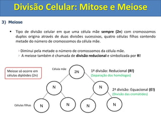 3) Meiose
 Tipo de divisão celular em que uma célula mãe sempre (2n) com cromossomos
duplos origina através de duas divisões sucessivas, quatro células filhas contendo
metade do número de cromossomos da célula mãe.
Diminui pela metade o número de cromossomos da célula mãe.
A meiose também é chamada de divisão reducional e simbolizada por R!
2N
Célula mãe
Células filhas N N
N
N N
N
Meiose só ocorre em
células diplóides (2n)
1ª divisão: Reducional (R!)
(Separação dos homólogos)
2ª divisão: Equacional (E!)
(Divisão das cromátides)
Divisão Celular: Mitose e Meiose
 