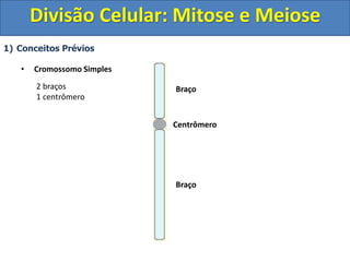 1) Conceitos Prévios
• Cromossomo Simples
Centrômero
Braço
Braço
2 braços
1 centrômero
Divisão Celular: Mitose e Meiose
 