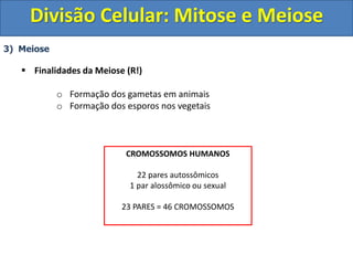 3) Meiose
 Finalidades da Meiose (R!)
o Formação dos gametas em animais
o Formação dos esporos nos vegetais
Divisão Celular: Mitose e Meiose
CROMOSSOMOS HUMANOS
22 pares autossômicos
1 par alossômico ou sexual
23 PARES = 46 CROMOSSOMOS
 