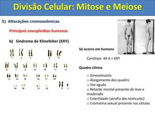3) Alterações cromossômicas
Principais aneuploidias humanas
b) Síndrome de Klinefelter (XXY)
Só ocorre em homens
Cariótipo: 44 A + XXY
Quadro clínico
o Ginecomastia
o Alargamento dos quadris
o Voz aguda
o Retardo mental presente de leve a
moderado
o Esterilidade (atrofia dos testículos)
o Cromatina sexual presente nas células
Divisão Celular: Mitose e Meiose
 