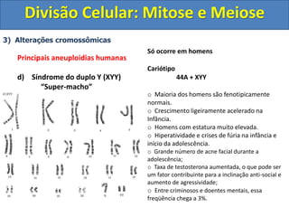 3) Alterações cromossômicas
Principais aneuploidias humanas
d) Síndrome do duplo Y (XYY)
“Super-macho”
Só ocorre em homens
Cariótipo
44A + XYY
o Maioria dos homens são fenotipicamente
normais.
o Crescimento ligeiramente acelerado na
Infância.
o Homens com estatura muito elevada.
o Hiperatividade e crises de fúria na infância e
início da adolescência.
o Grande número de acne facial durante a
adolescência;
o Taxa de testosterona aumentada, o que pode ser
um fator contribuinte para a inclinação anti-social e
aumento de agressividade;
o Entre criminosos e doentes mentais, essa
freqüência chega a 3%.
Divisão Celular: Mitose e Meiose
 