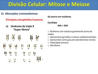 3) Alterações cromossômicas
Principais aneuploidias humanas
e) Síndrome do triplo X
“Super-fêmea”
Só ocorre em mulheres
Cariótipo
44A + XXX
o Mulheres com estatura geralmente acima da
média.
o Apresentam genitália e mamas subdesenvolvidas.
o Apresentam certo grau de retardamento mental.
o Puberdade precoce.
o São férteis.
Divisão Celular: Mitose e Meiose
 