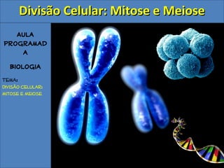 Aula
Programad
a
Biologia
Tema:
Divisão celular:
Mitose e Meiose
Divisão Celular: Mitose e MeioseDivisão Celular: Mitose e Meiose
 