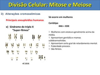 3) Alterações cromossômicas
Principais aneuploidias humanas
e) Síndrome do triplo X
“Super-fêmea”
Só ocorre em mulheres
Cariótipo
44A + XXX
o Mulheres com estatura geralmente acima da
média.
o Apresentam genitália e mamas
subdesenvolvidas.
o Apresentam certo gral de retardamento mental.
o Puberdade precoce.
o São férteis.
Divisão Celular: Mitose e MeioseDivisão Celular: Mitose e Meiose
 