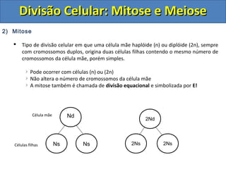 2) Mitose
 Tipo de divisão celular em que uma célula mãe haplóide (n) ou diplóide (2n), sempre
com cromossomos duplos, origina duas células filhas contendo o mesmo número de
cromossomos da célula mãe, porém simples.
Pode ocorrer com células (n) ou (2n)
Não altera o número de cromossomos da célula mãe
A mitose também é chamada de divisão equacional e simbolizada por E!
Nd
Ns Ns
2Nd
2Ns 2Ns
Célula mãe
Células filhas
Divisão Celular: Mitose e MeioseDivisão Celular: Mitose e Meiose
 