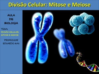 Aula
de
Biologia
Tema:
Divisão celular:
Mitose e Meiose
Professor
Eduardo Max
Divisão Celular: Mitose e MeioseDivisão Celular: Mitose e Meiose
 