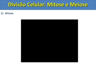 2) Mitose
Divisão Celular: Mitose e MeioseDivisão Celular: Mitose e Meiose
 