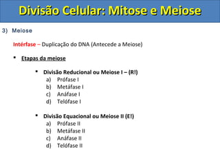3) Meiose
Intérfase – Duplicação do DNA (Antecede a Meiose)
 Etapas da meiose
 Divisão Reducional ou Meiose I – (R!)
a) Prófase I
b) Metáfase I
c) Anáfase I
d) Telófase I
 Divisão Equacional ou Meiose II (E!)
a) Prófase II
b) Metáfase II
c) Anáfase II
d) Telófase II
Divisão Celular: Mitose e MeioseDivisão Celular: Mitose e Meiose
 