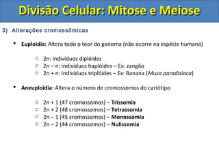 3) Alterações cromossômicas
 Euploidia: Altera todo o teor do genoma (não ocorre na espécie humana)
o 2n: indivíduos diplóides
o 2n – n: indivíduos haplóides – Ex: zangão
o 2n + n: indivíduos triplóides – Ex: Banana (Musa paradisíaca)
 Aneuploidia: Altera o número de cromossomos do cariótipo
o 2n + 1 (47 cromossomos) – Trissomia
o 2n + 2 (48 cromossomos) – Tetrassomia
o 2n – 1 (45 cromossomos) – Monossomia
o 2n – 2 (44 cromossomos) – Nulissomia
Divisão Celular: Mitose e MeioseDivisão Celular: Mitose e Meiose
 
