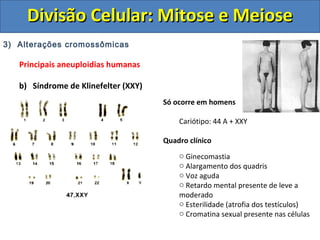 3) Alterações cromossômicas
Principais aneuploidias humanas
b) Síndrome de Klinefelter (XXY)
Só ocorre em homens
Cariótipo: 44 A + XXY
Quadro clínico
o Ginecomastia
o Alargamento dos quadris
o Voz aguda
o Retardo mental presente de leve a
moderado
o Esterilidade (atrofia dos testículos)
o Cromatina sexual presente nas células
Divisão Celular: Mitose e MeioseDivisão Celular: Mitose e Meiose
 