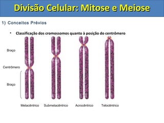 1) Conceitos Prévios
• Classificação dos cromossomos quanto à posição do centrômero
Braço
Braço
Centrômero
Metacêntrico Submetacêntrico Acrocêntrico Telocêntrico
Divisão Celular: Mitose e MeioseDivisão Celular: Mitose e Meiose
 