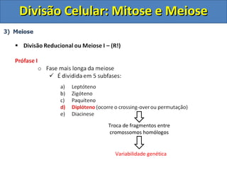 DDiivviissããoo CCeelluullaarr:: MMiittoossee ee MMeeiioossee 
Troca de fragmentos entre 
cromossomos homólogos 
Variabilidade genética 
 