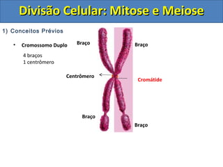 DDiivviissããoo CCeelluullaarr:: MMiittoossee ee MMeeiioossee 
1) Conceitos Prévios 
• Cromossomo Duplo 
Centrômero 
Braço 
Cromátide 
Braço 
Braço 
Braço 
4 braços 
1 centrômero 
 