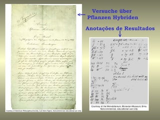 Versuche über
Pflanzen Hybriden

Anotações de Resultados
 
