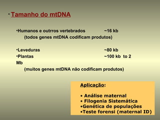 • Tamanho   do mtDNA

  •Humanos e outrros vertebrados       ~16 kb
     (todos genes mtDNA codificam produtos)

  •Leveduras                            ~80 kb
  •Plantas                              ~100 kb to 2
  Mb
      (muitos genes mtDNA não codificam produtos)


                             Aplicação:

                             • Análise maternal
                             • Filogenia Sistemática
                             •Genética de populações
                             •Teste forensi (maternal ID)
 
