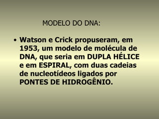 MODELO DO DNA:

• Watson e Crick propuseram, em
  1953, um modelo de molécula de
  DNA, que seria em DUPLA HÉLICE
  e em ESPIRAL, com duas cadeias
  de nucleotídeos ligados por
  PONTES DE HIDROGÊNIO.
 