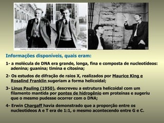 Informações disponíveis, quais eram:
1- a molécula de DNA era grande, longa, fina e composta de nucleotídeos:
   adenina; guanina; timina e citosina;
2- Os estudos de difração de raios X, realizados por Maurice King e
   Rosalind Franklin sugeriam a forma helicoidal;
3- Linus Pauling (1950), descreveu a estrutura helicoidal com um
   filamento mantida por pontes de hidrogênio em proteínas e sugeriu
   que o mesmo pudesse ocorrer com o DNA;
4- Erwin Chargaff havia demonstrado que a proporção entre os
   nucleotídeos A e T era de 1:1, o mesmo acontecendo entre G e C.
 