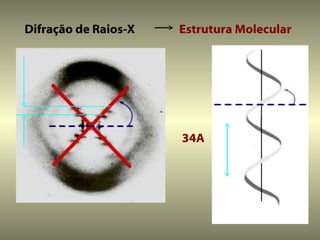 Difração de Raios-X   Estrutura Molecular




                      34A
 