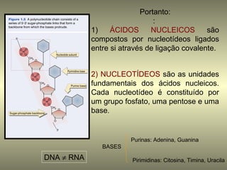 Portanto:
                               :
            1)    ÁCIDOS      NUCLEICOS        são
            compostos por nucleotídeos ligados
            entre si através de ligação covalente.


            2) NUCLEOTÍDEOS são as unidades
            fundamentais dos ácidos nucleicos.
            Cada nucleotídeo é constituído por
            um grupo fosfato, uma pentose e uma
            base.


                       Purinas: Adenina, Guanina
               BASES

DNA ≠ RNA               Pirimidinas: Citosina, Timina, Uracila
 