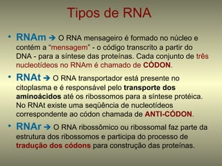 Tipos de RNA
• RNAm  O RNA mensageiro é formado no núcleo e
  contém a “mensagem” - o código transcrito a partir do
  DNA - para a síntese das proteínas. Cada conjunto de três
  nucleotídeos no RNAm é chamado de CÓDON.
• RNAt  O RNA transportador está presente no
  citoplasma e é responsável pelo transporte dos
  aminoácidos até os ribossomos para a síntese protéica.
  No RNAt existe uma seqüência de nucleotídeos
  correspondente ao códon chamada de ANTI-CÓDON.
• RNAr  O RNA ribossômico ou ribossomal faz parte da
  estrutura dos ribossomos e participa do processo de
  tradução dos códons para construção das proteínas.
 