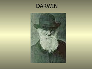 DARWIN
 