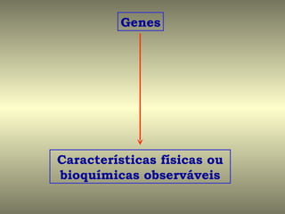 Genes




Características físicas ou
bioquímicas observáveis
 