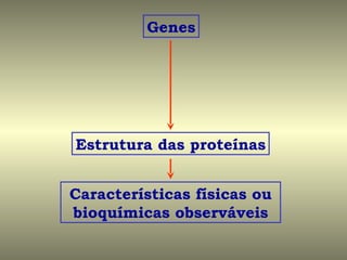 Genes




Estrutura das proteínas


Características físicas ou
bioquímicas observáveis
 