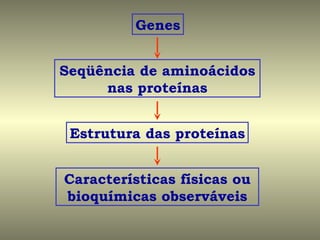 Genes


Seqüência de aminoácidos
     nas proteínas


 Estrutura das proteínas


Características físicas ou
bioquímicas observáveis
 
