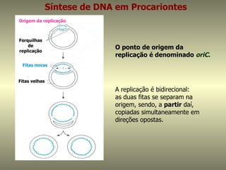 Síntese de DNA em Procariontes
Origem da replicação



Forquilhas
    de
replicação
                             O ponto de origem da
                             replicação é denominado oriC.
 Fitas novas


Fitas velhas

                             A replicação é bidirecional:
                             as duas fitas se separam na
                             origem, sendo, a partir daí,
                             copiadas simultaneamente em
                             direções opostas.
 