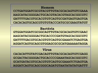 Homem
CCTGATGGATCGCGTACGTTGTACGCACAGTGTCGAAA
AAGCATACGGGGACTGCACGTACACGTAGCACGGCGTC
GATTTTGACGTGCACGTGTCAGTGCGATGAGTGAGTGA
CACACAGTGCAGCGTGTGTACCCATGCGCGAAGTATGT
              Bactéria
GTGGATGGATCGCGGCAGTTGTACGCACAGTGTCGAAC
AAGCATACGGGGACTGCACCCCGATGTAGCACGGCGTC
GATTTTGACGTGCACGTGTCAGTGCGAAATCTGAGTGA
AGGATCAGTGCAGCGTGGAGCGCGCATGAAAAATAGGA
               Vírus
CACACATTGTATCGACAGTTGTACGCACAGTGTCGAGG
GCGACTACGGGGACTGCACCCCGAAATAGCACGGCGTC
GCATGATACGTGCACGTGTCAGTGCGAAATCTGAGTGA
AGGATCAGTGCAGCGGGCAGATGTAATATATATGATTT
 