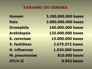 TAMANHO DO GENOMA

Homem           3.200.000.000 bases
Rato            3.000.000.000 bases
Drosophila        160.000.000 bases
Arabidopsis       135.000.000 bases
S. cerevisae       13.000.000 bases
X. fastidiosa       2.679.572 bases
H. influenzae       1.830.000 bases
M. pneumoniae         810.000 bases
HTLV-II                 8.952 bases
 