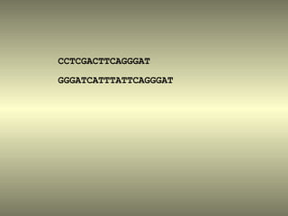 CCTCGACTTCAGGGAT

GGGATCATTTATTCAGGGAT
 